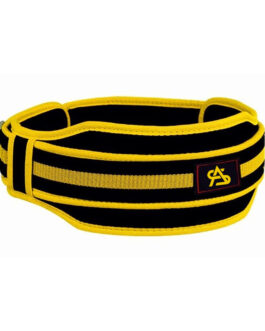 Fitness Belts